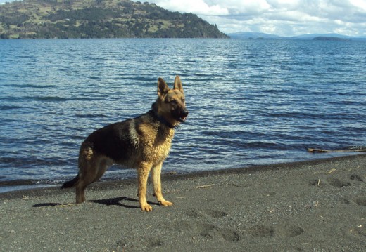 Kal El dandose chapuzones en el lago